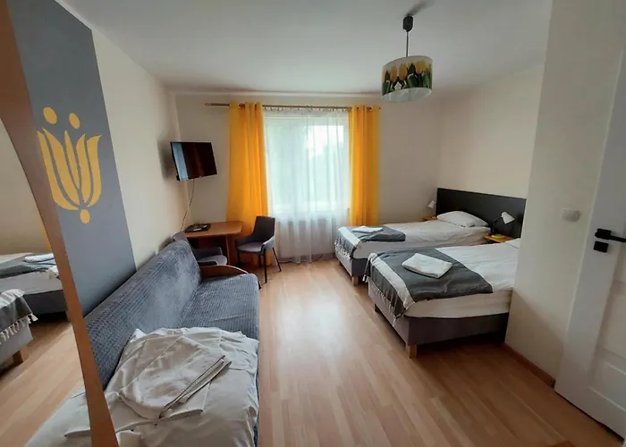 Paleo Standard Władysławowo